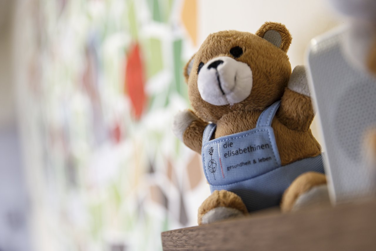 Bild 7 von 15 – Album Einblicke in das Elisa