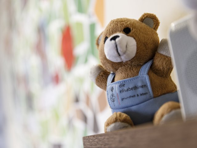 Bild 7 von 15 – Album Einblicke in das Elisa