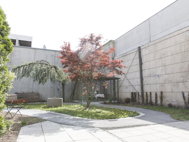 Bild 5 von 15 – Album Einblicke in das Elisa