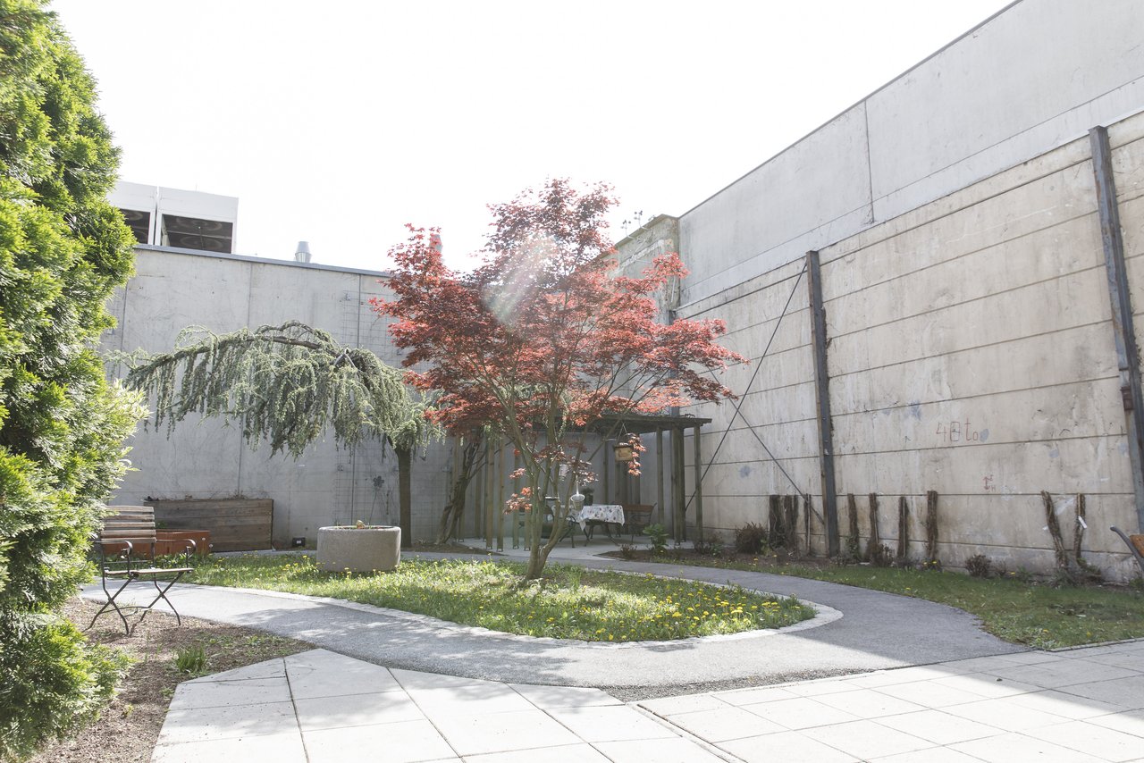 Bild 5 von 15 – Album Einblicke in das Elisa