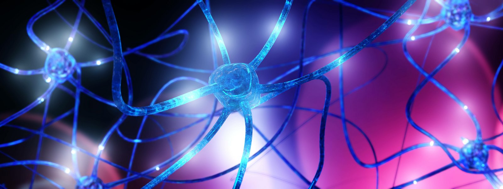 Nervenzellen