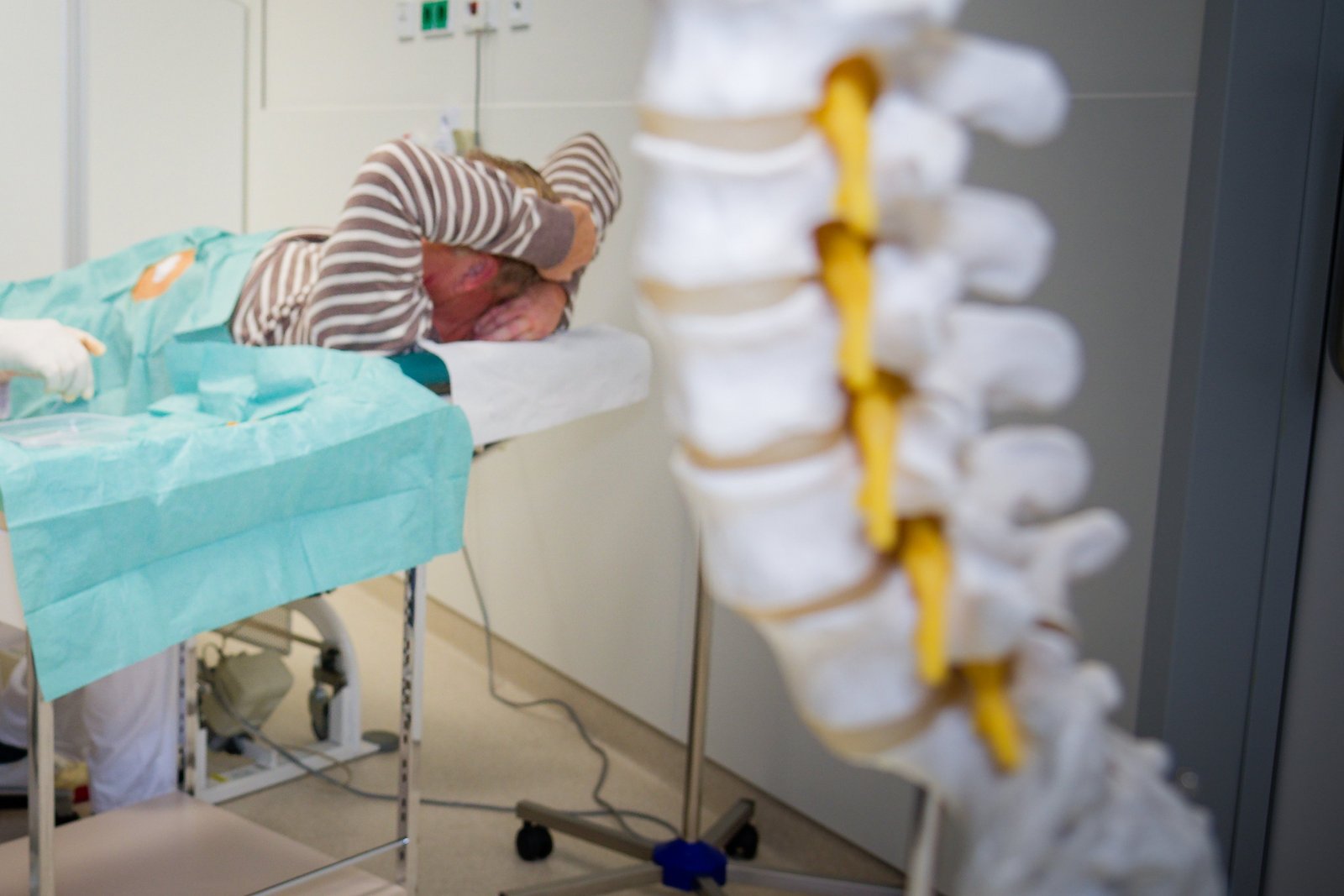 Modell einer Wirbelsäule